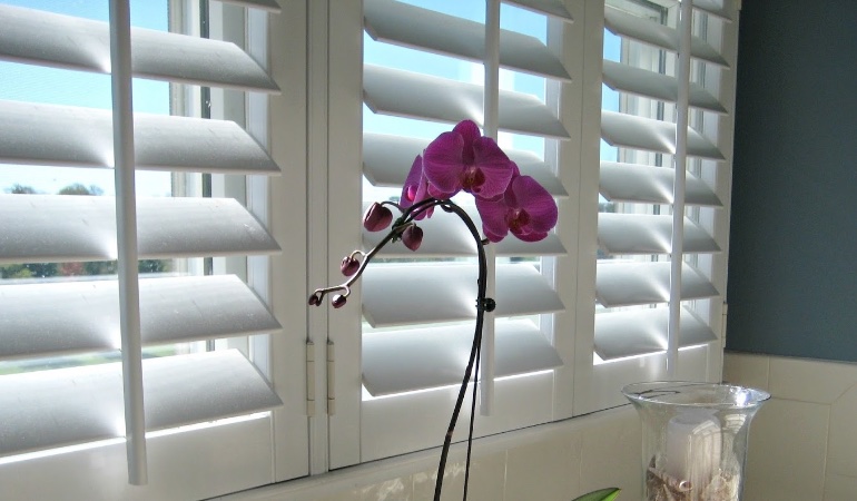 Faux wood plantation shutters in Miami