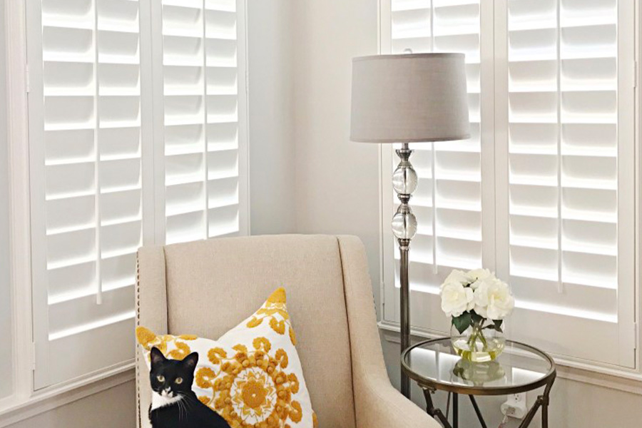 Cover your corner windows with beautiful white interior shutters. White polywood shutters in a corner of a living room